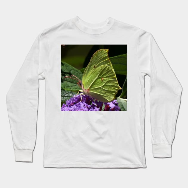 Brimstone Long Sleeve T-Shirt by MelTGazing